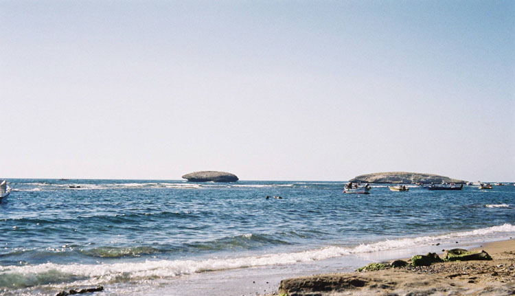 F1000003